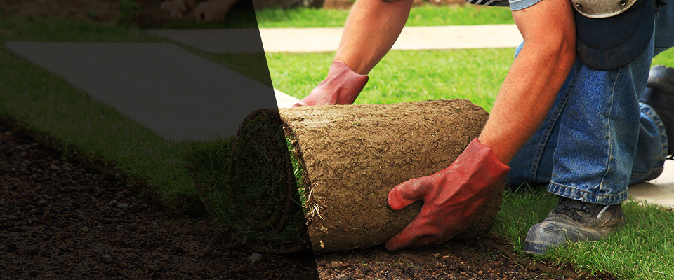 Crown Point Landscapers